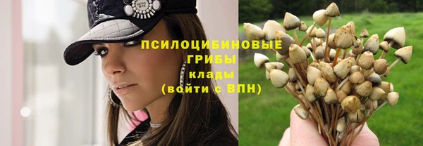 герыч Богданович