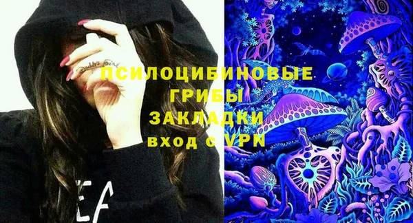 ГАЛЛЮЦИНОГЕННЫЕ ГРИБЫ Богородицк