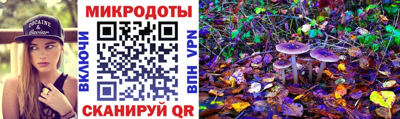 что такое Якутск Псилоцибиновые грибы ЛСД