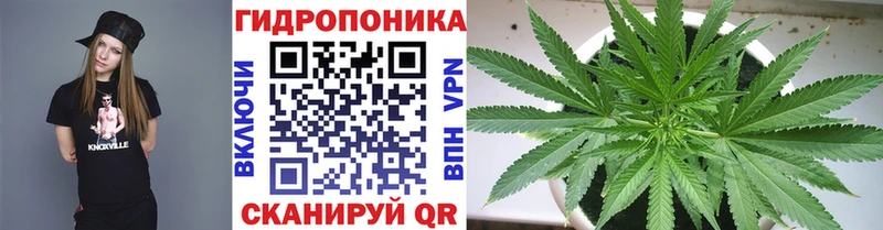ссылка на мегу зеркало Якутск Шишки марихуана White Widow